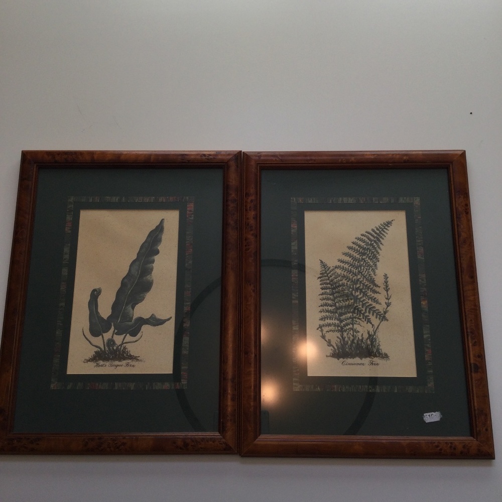 Fern prints